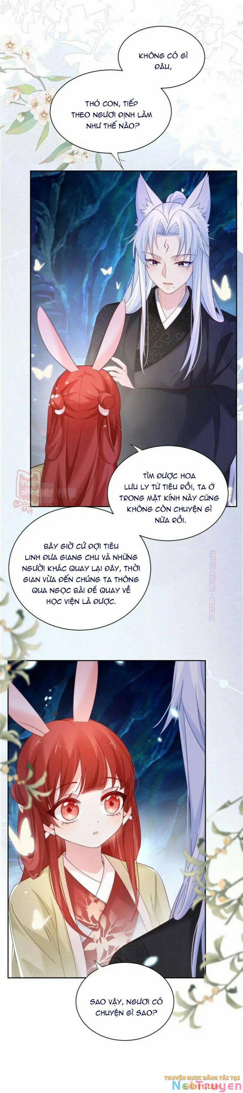 Nuôi Thỏ? Nam Chính Hắc Hóa Rồi! 52 trang 8