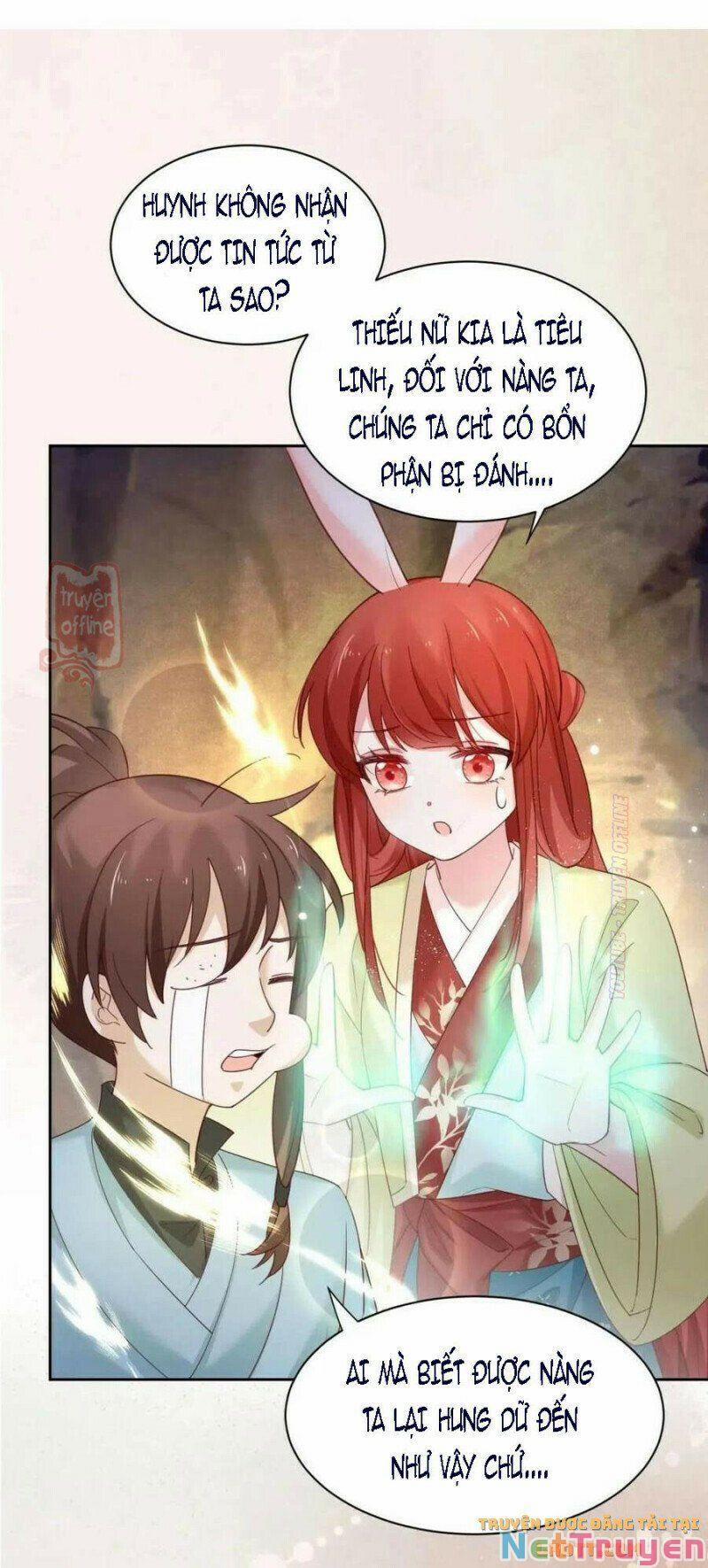 Nuôi Thỏ? Nam Chính Hắc Hóa Rồi! 53 trang 1