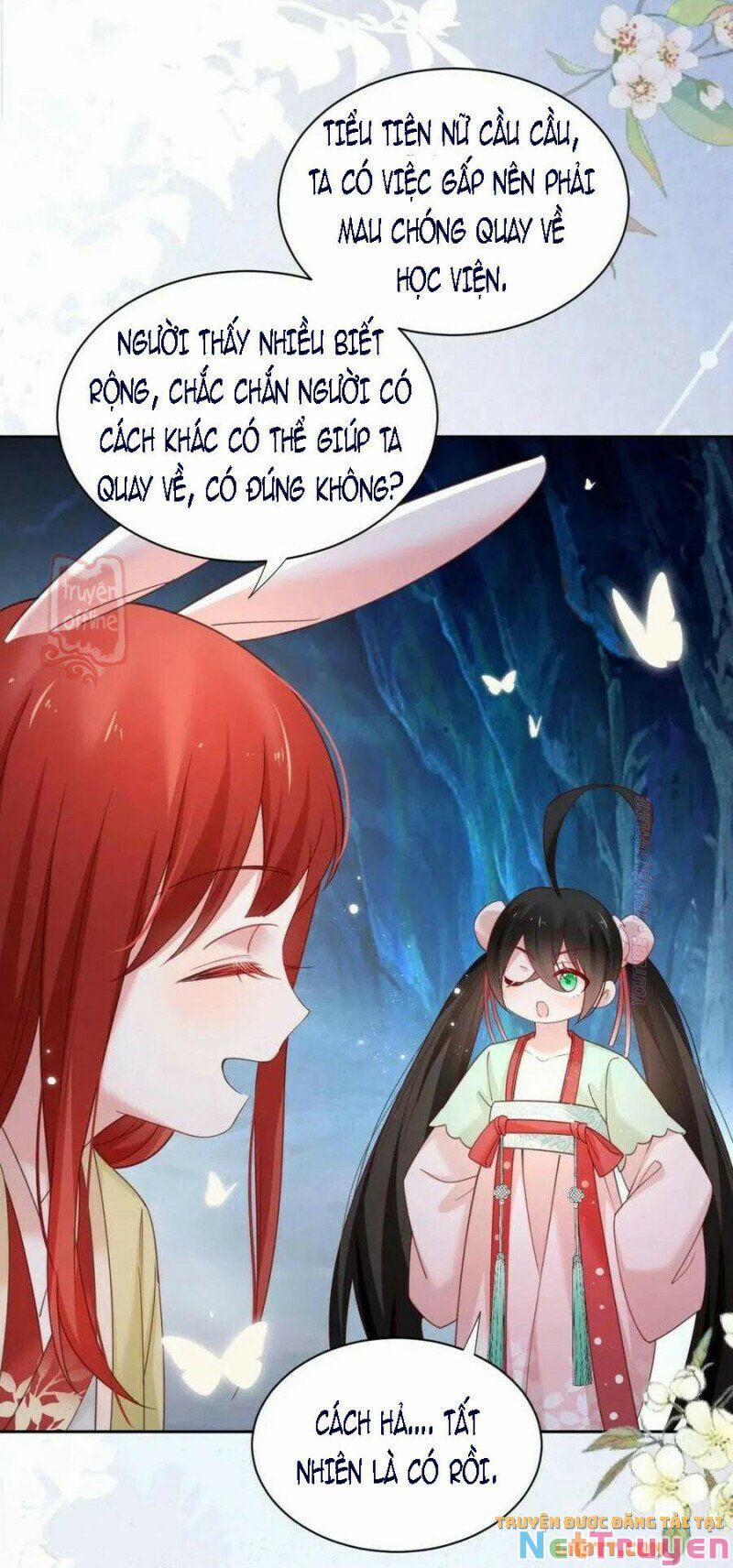 Nuôi Thỏ? Nam Chính Hắc Hóa Rồi! 53 trang 12