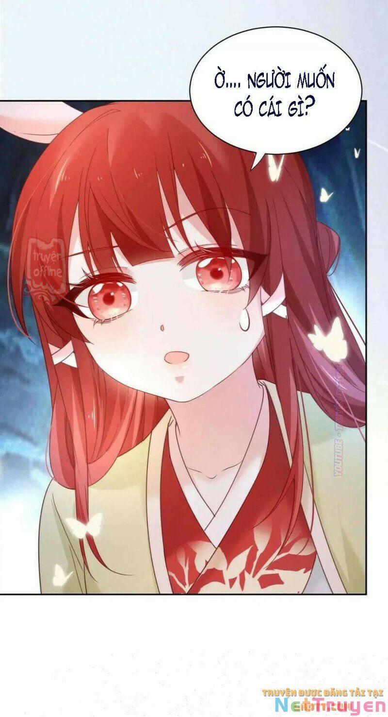 Nuôi Thỏ? Nam Chính Hắc Hóa Rồi! 53 trang 14