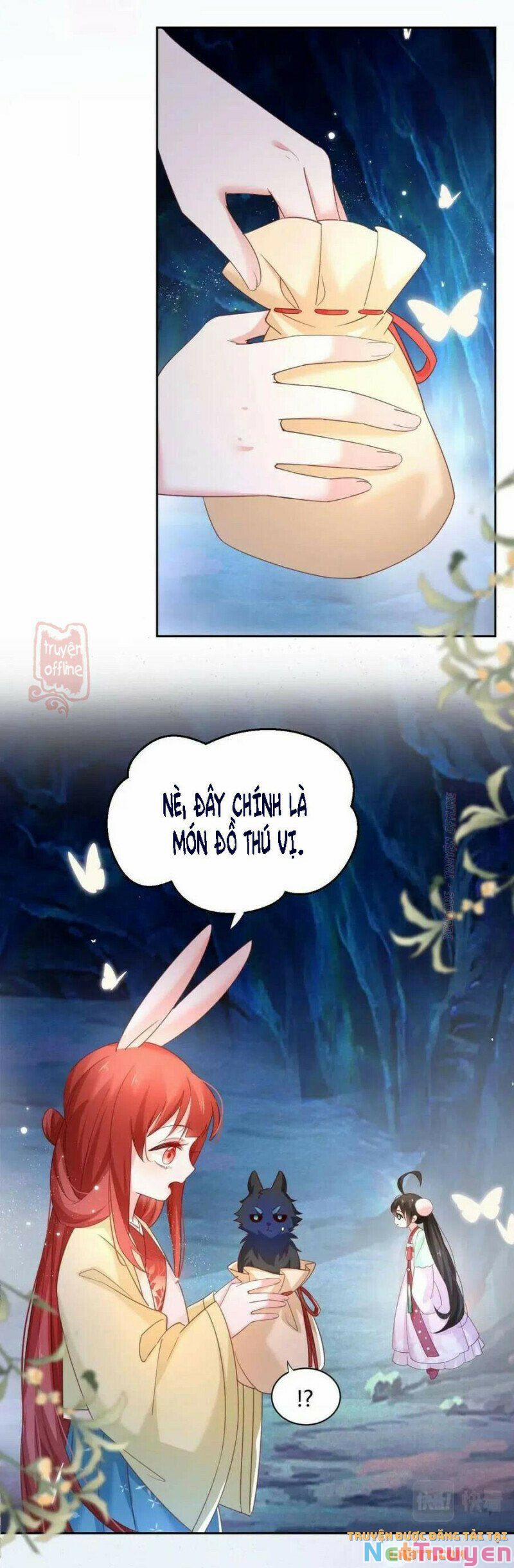 Nuôi Thỏ? Nam Chính Hắc Hóa Rồi! 53 trang 16