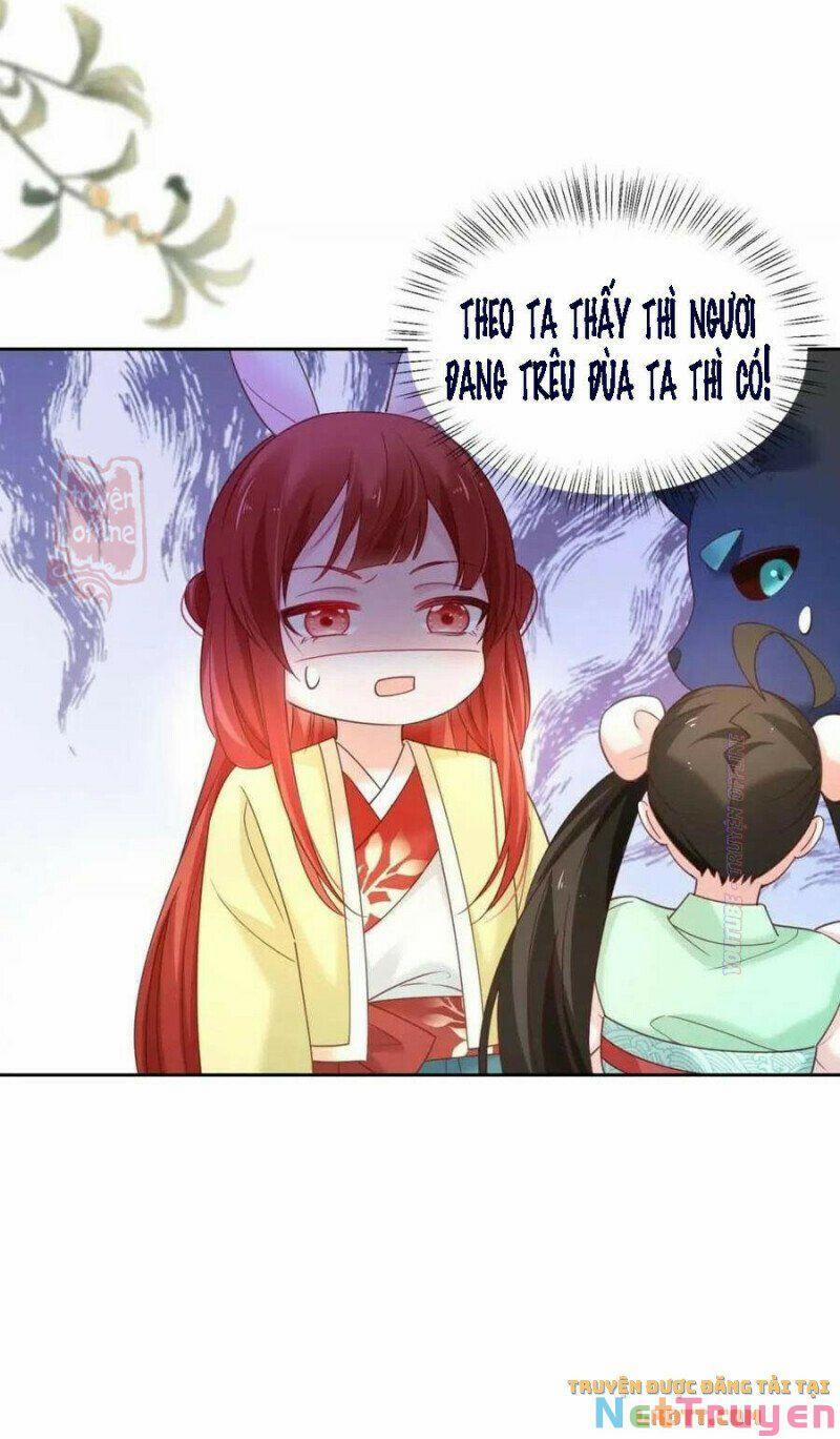 Nuôi Thỏ? Nam Chính Hắc Hóa Rồi! 53 trang 21