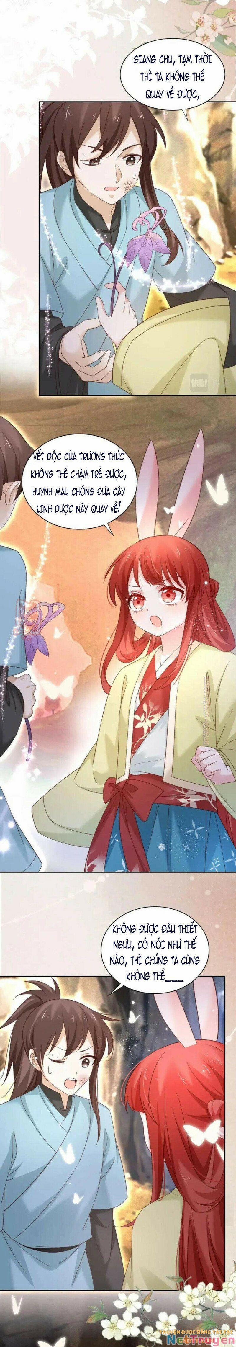 Nuôi Thỏ? Nam Chính Hắc Hóa Rồi! 53 trang 7