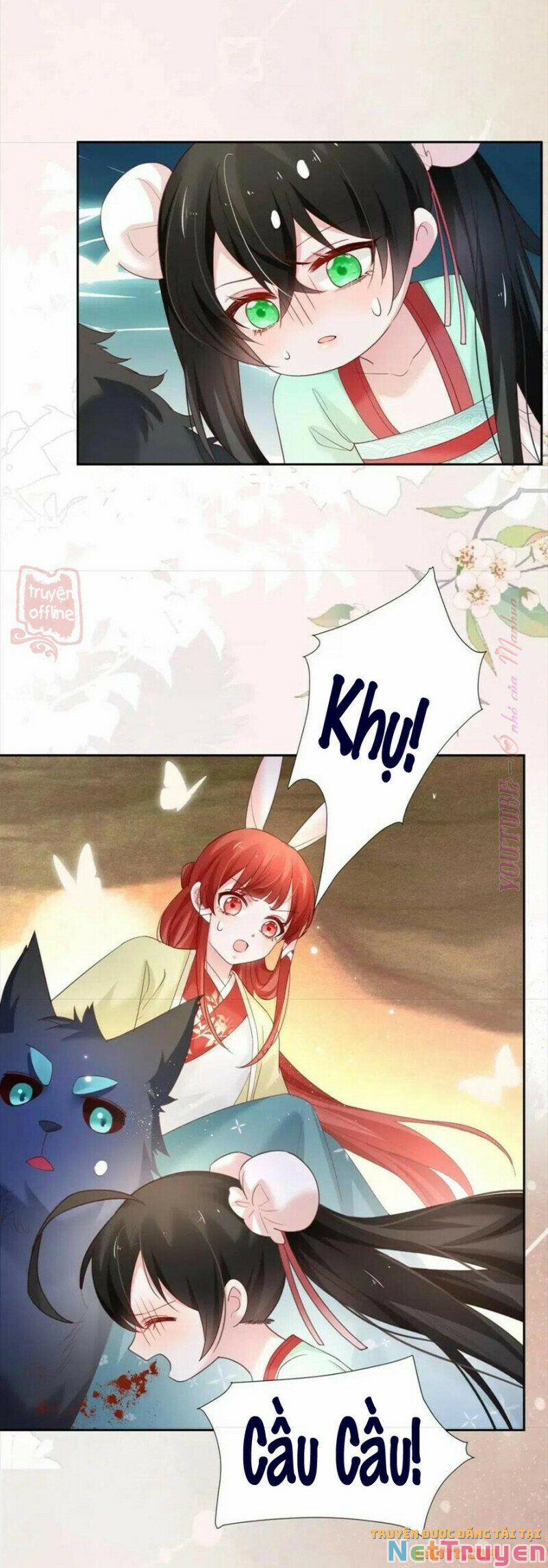 Nuôi Thỏ? Nam Chính Hắc Hóa Rồi! 54 trang 10