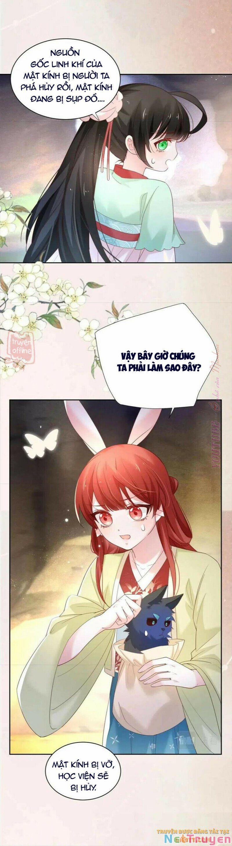 Nuôi Thỏ? Nam Chính Hắc Hóa Rồi! 54 trang 11