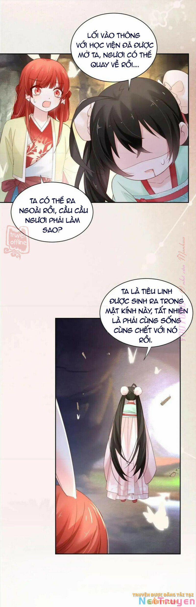 Nuôi Thỏ? Nam Chính Hắc Hóa Rồi! 54 trang 12