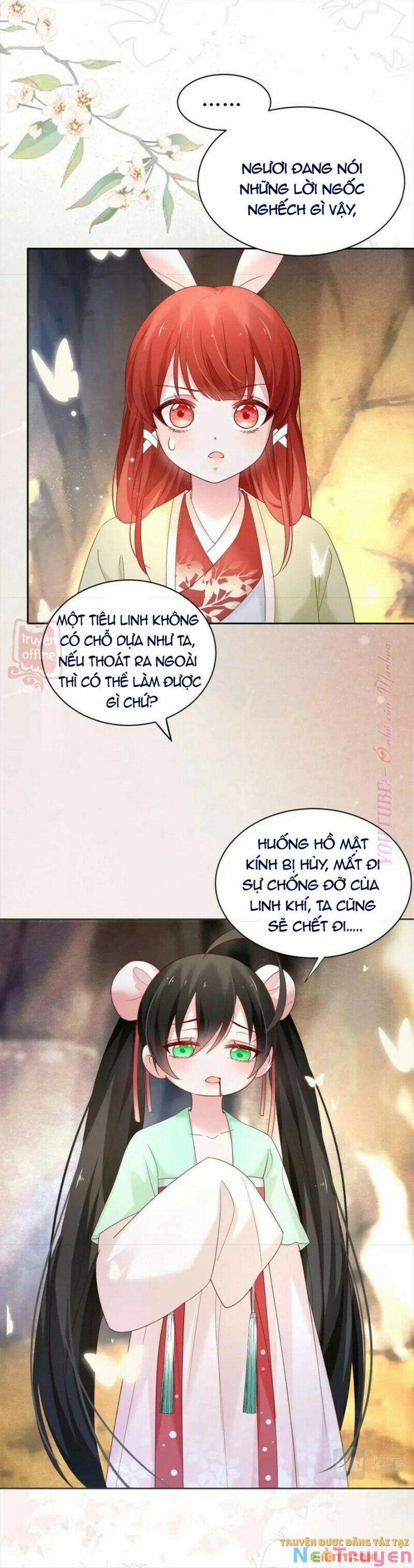 Nuôi Thỏ? Nam Chính Hắc Hóa Rồi! 54 trang 14