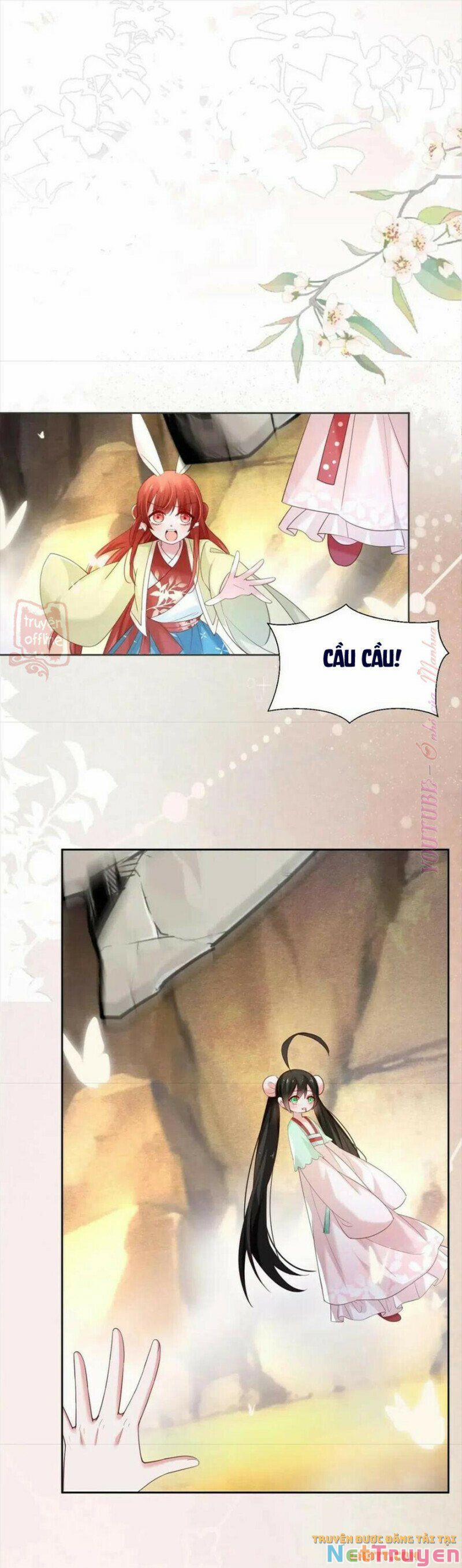 Nuôi Thỏ? Nam Chính Hắc Hóa Rồi! 54 trang 15