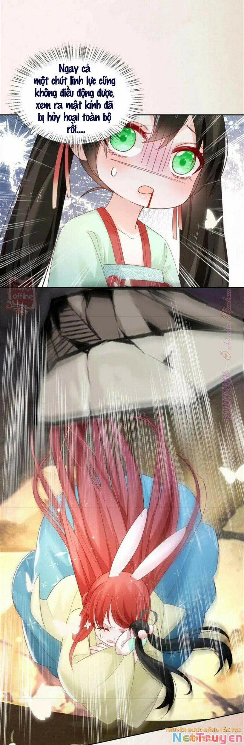 Nuôi Thỏ? Nam Chính Hắc Hóa Rồi! 54 trang 16