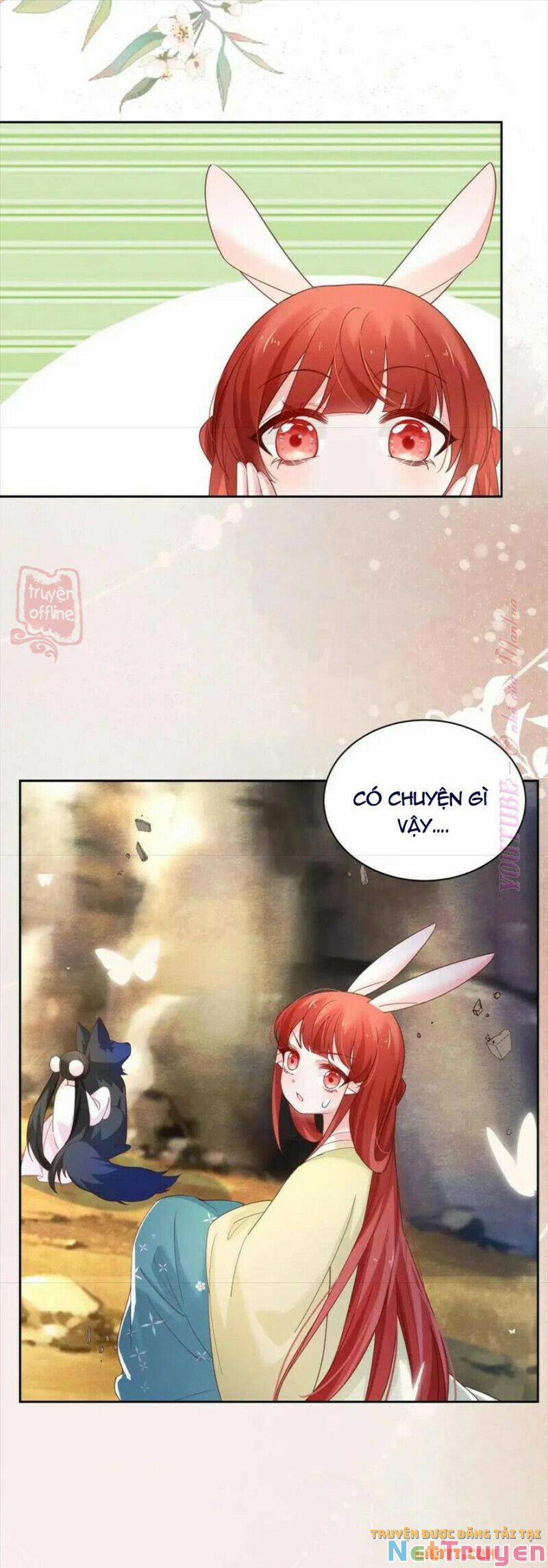 Nuôi Thỏ? Nam Chính Hắc Hóa Rồi! 54 trang 9