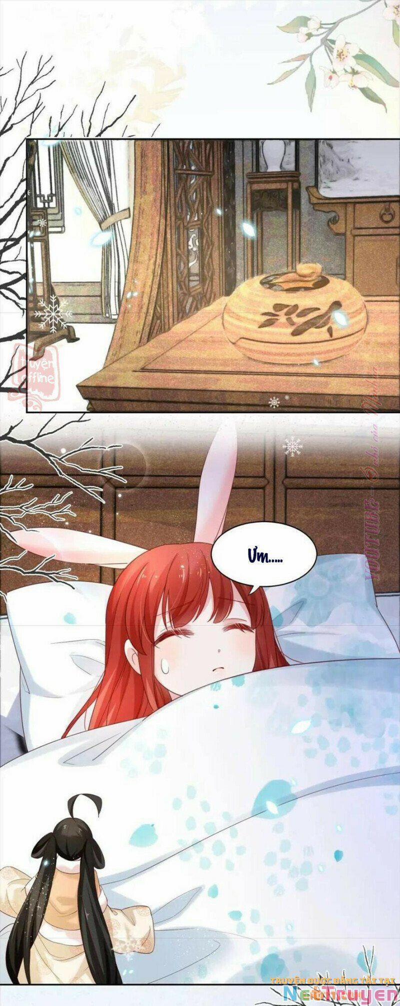 Nuôi Thỏ? Nam Chính Hắc Hóa Rồi! 55 trang 1