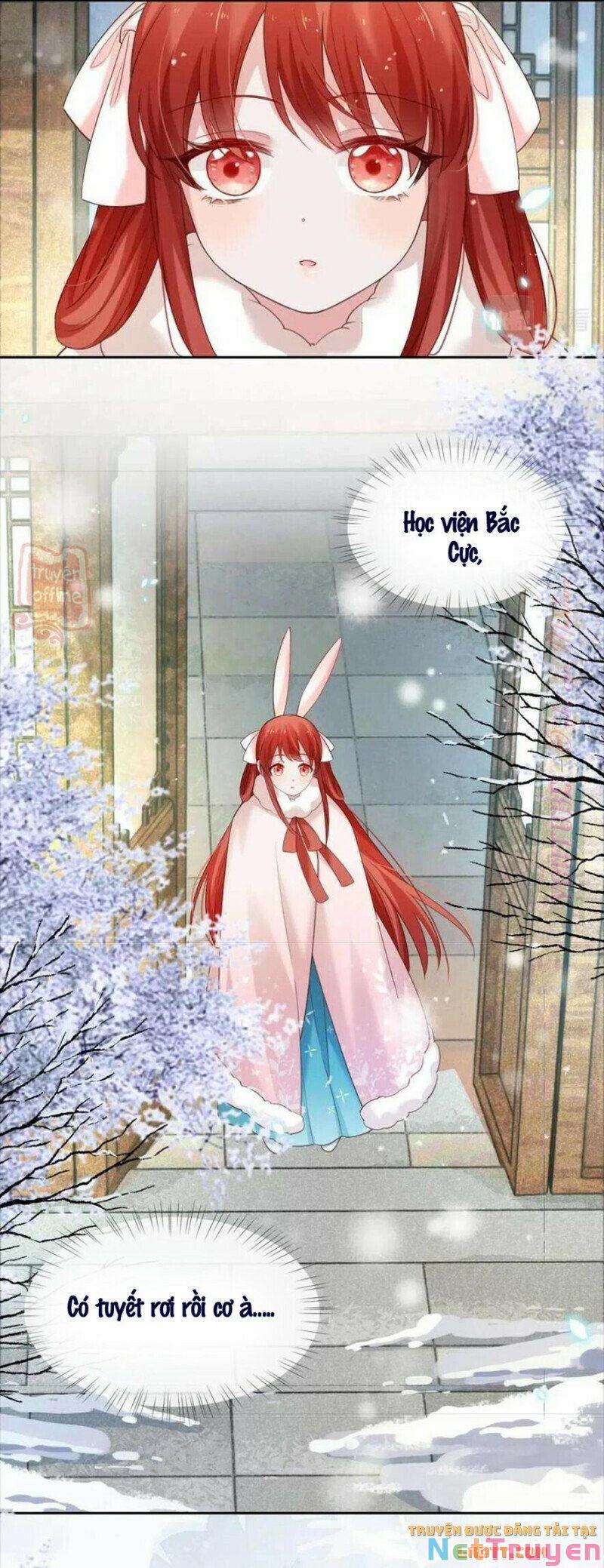 Nuôi Thỏ? Nam Chính Hắc Hóa Rồi! 55 trang 10