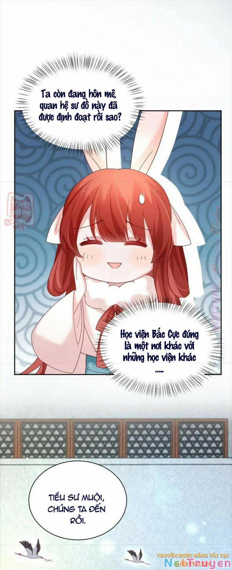 Nuôi Thỏ? Nam Chính Hắc Hóa Rồi! 55 trang 19