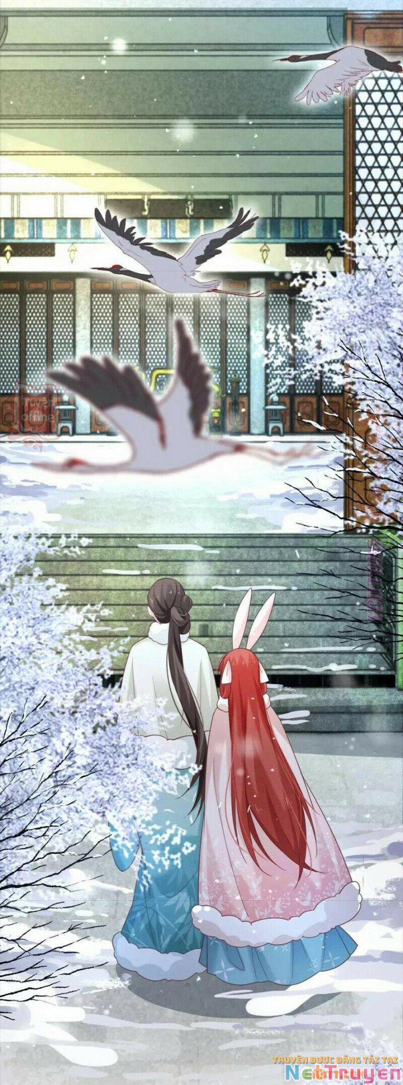 Nuôi Thỏ? Nam Chính Hắc Hóa Rồi! 55 trang 20