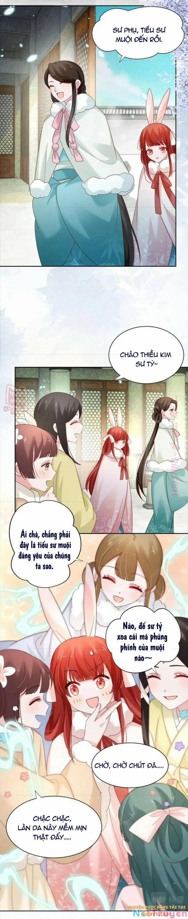 Nuôi Thỏ? Nam Chính Hắc Hóa Rồi! 55 trang 21