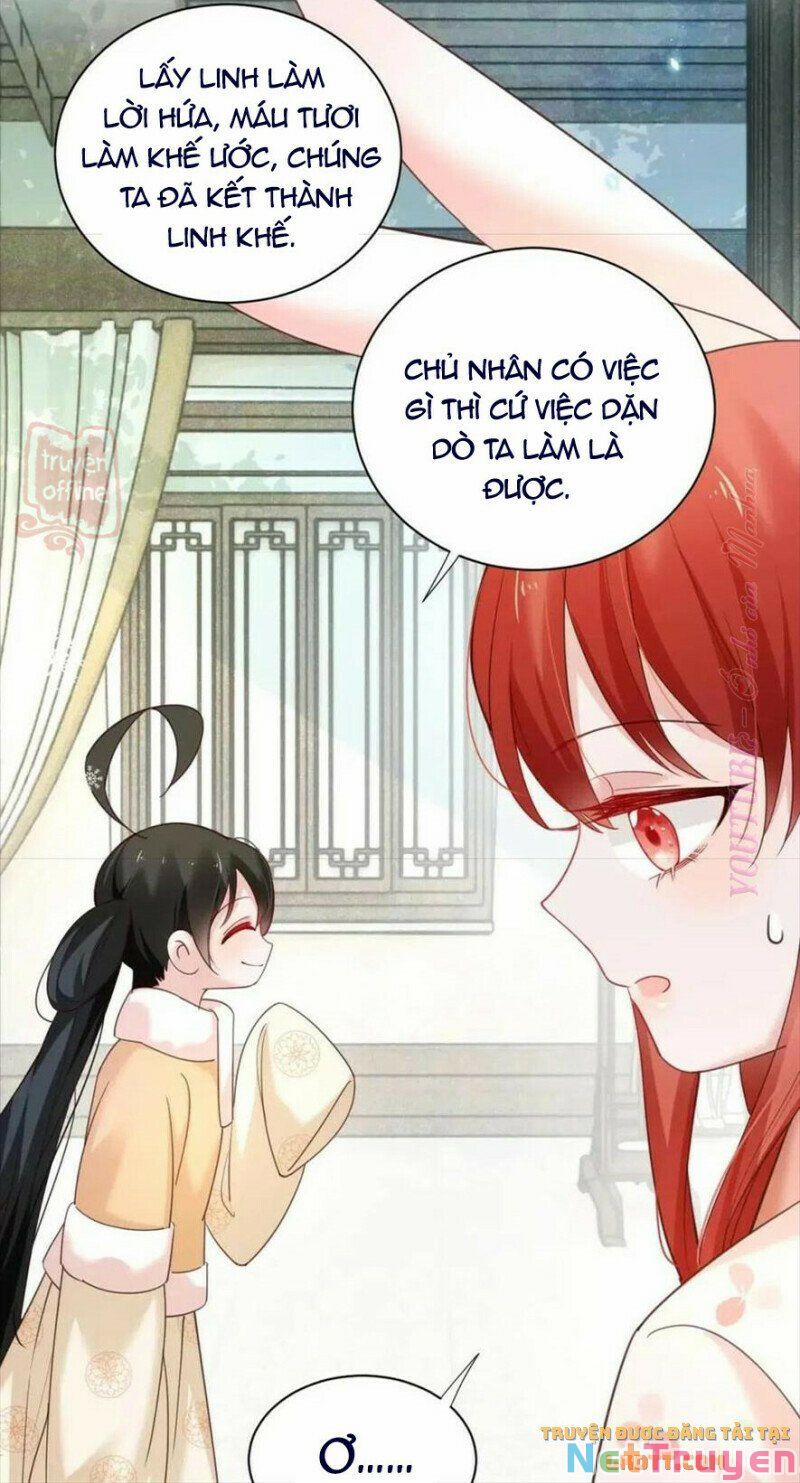 Nuôi Thỏ? Nam Chính Hắc Hóa Rồi! 55 trang 6