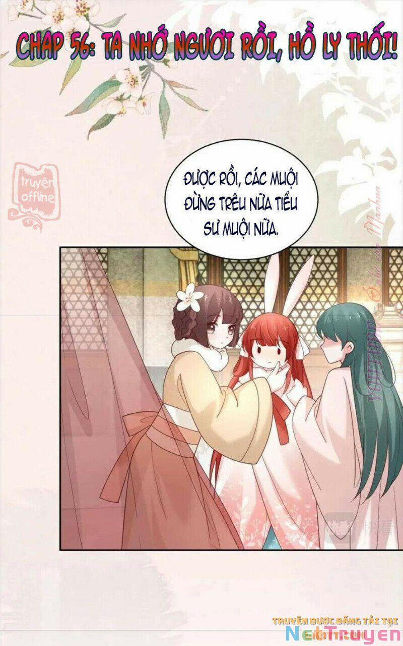 Nuôi Thỏ? Nam Chính Hắc Hóa Rồi! 56 trang 0