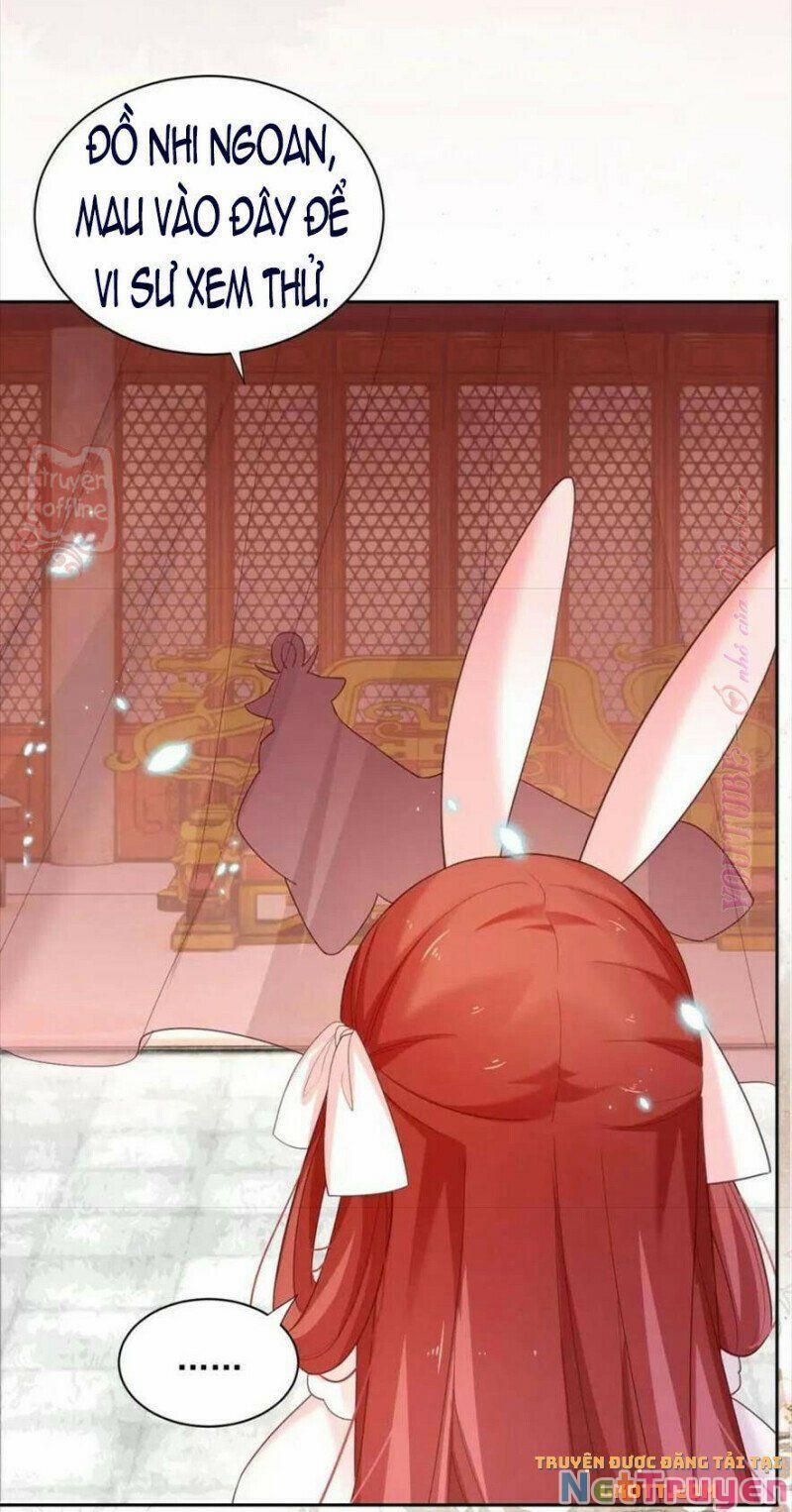 Nuôi Thỏ? Nam Chính Hắc Hóa Rồi! 56 trang 1