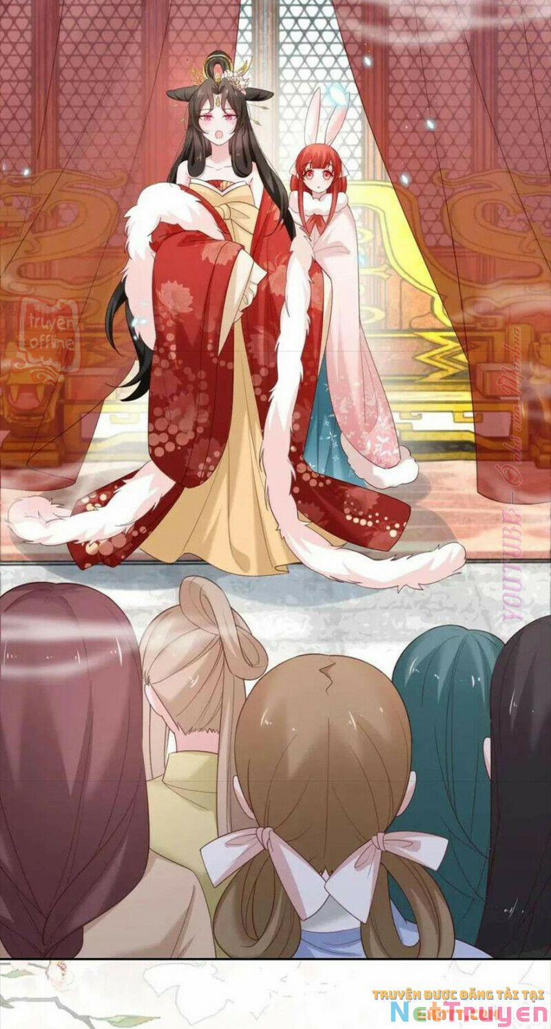 Nuôi Thỏ? Nam Chính Hắc Hóa Rồi! 56 trang 14