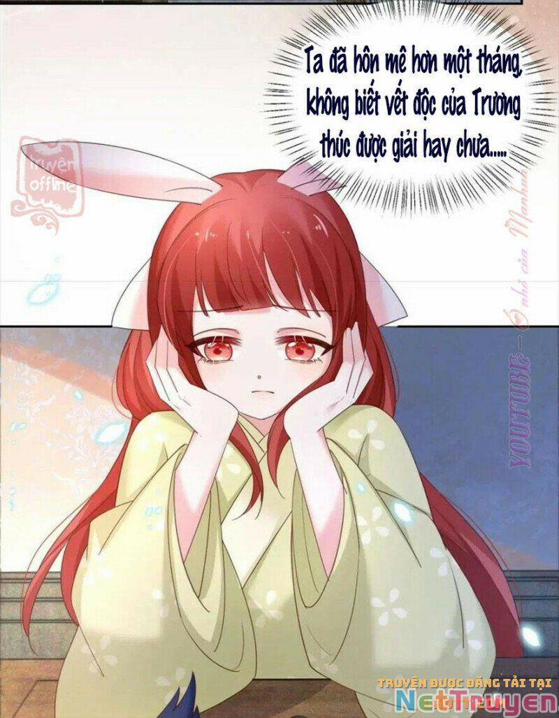 Nuôi Thỏ? Nam Chính Hắc Hóa Rồi! 56 trang 20