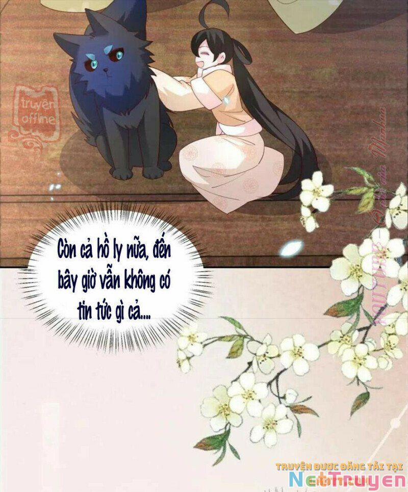 Nuôi Thỏ? Nam Chính Hắc Hóa Rồi! 56 trang 21