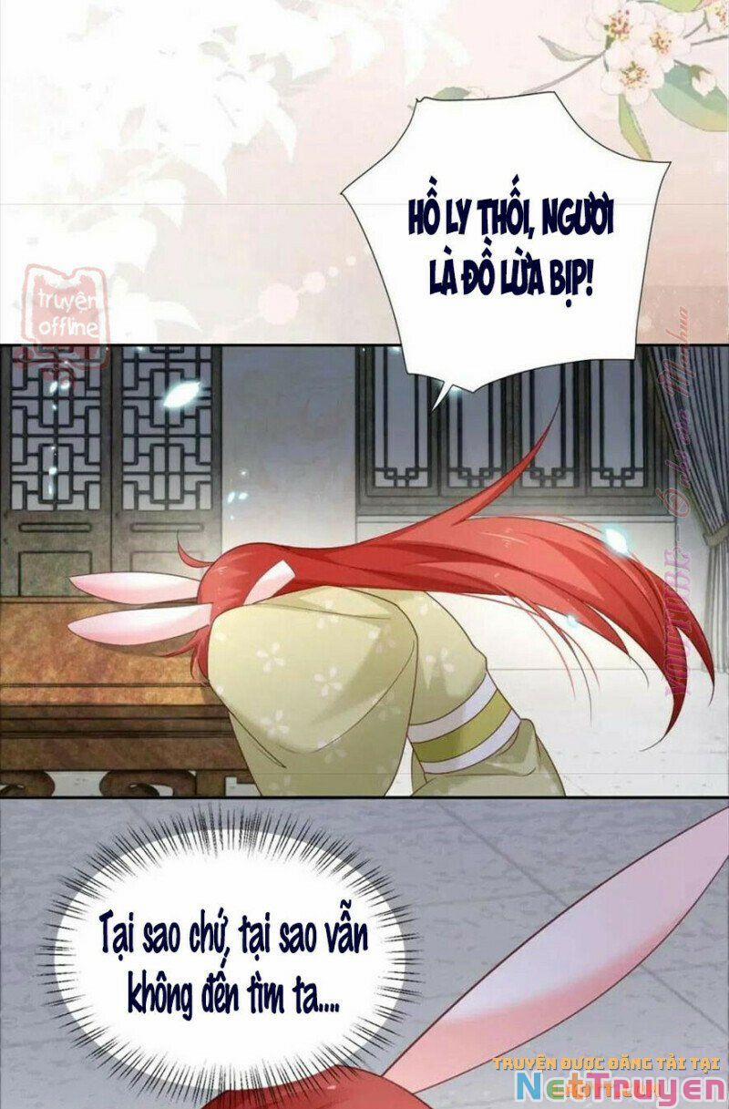 Nuôi Thỏ? Nam Chính Hắc Hóa Rồi! 56 trang 23