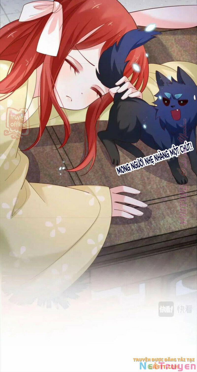 Nuôi Thỏ? Nam Chính Hắc Hóa Rồi! 56 trang 24