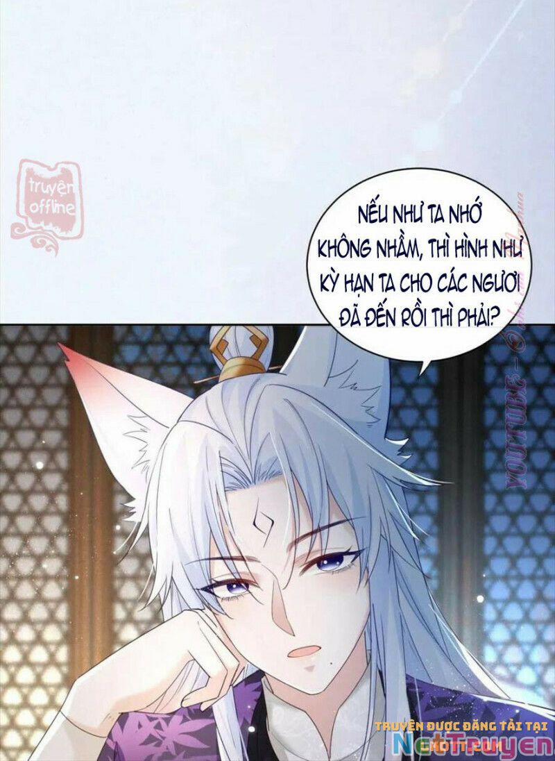 Nuôi Thỏ? Nam Chính Hắc Hóa Rồi! 56 trang 28