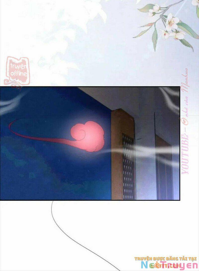 Nuôi Thỏ? Nam Chính Hắc Hóa Rồi! 56 trang 31