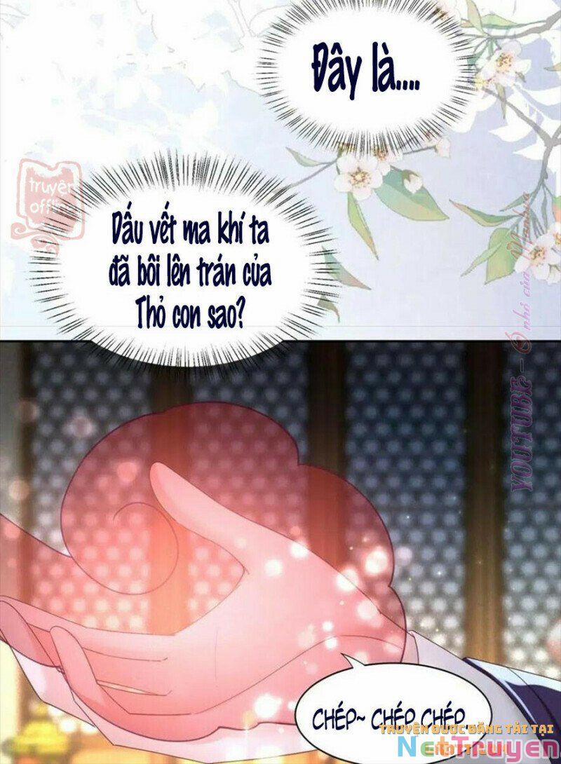 Nuôi Thỏ? Nam Chính Hắc Hóa Rồi! 56 trang 33