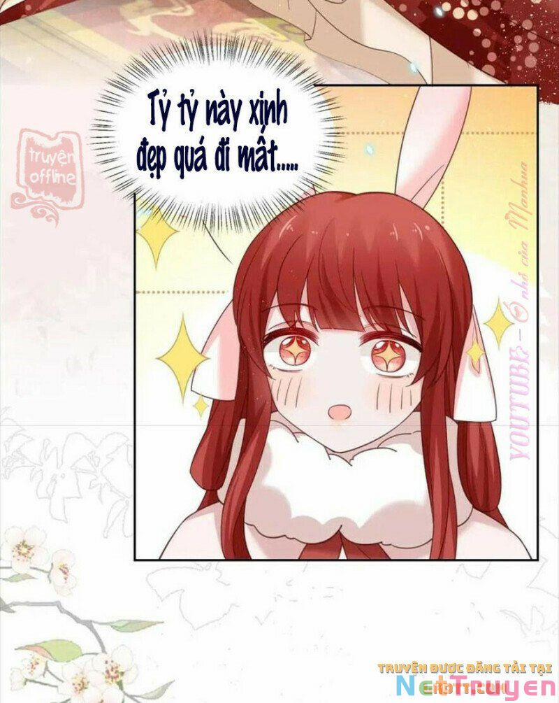 Nuôi Thỏ? Nam Chính Hắc Hóa Rồi! 56 trang 4