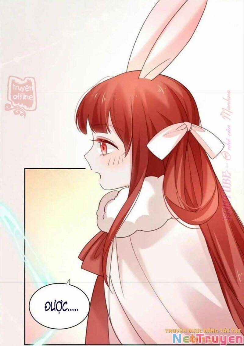 Nuôi Thỏ? Nam Chính Hắc Hóa Rồi! 56 trang 6