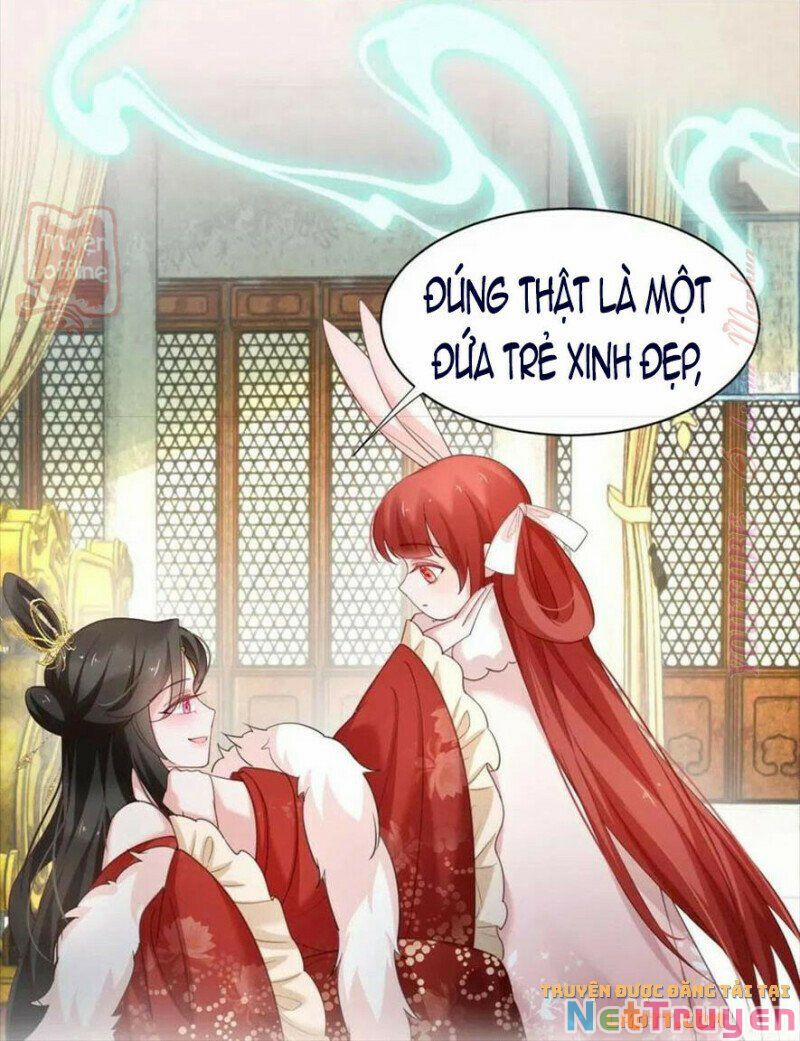 Nuôi Thỏ? Nam Chính Hắc Hóa Rồi! 56 trang 7