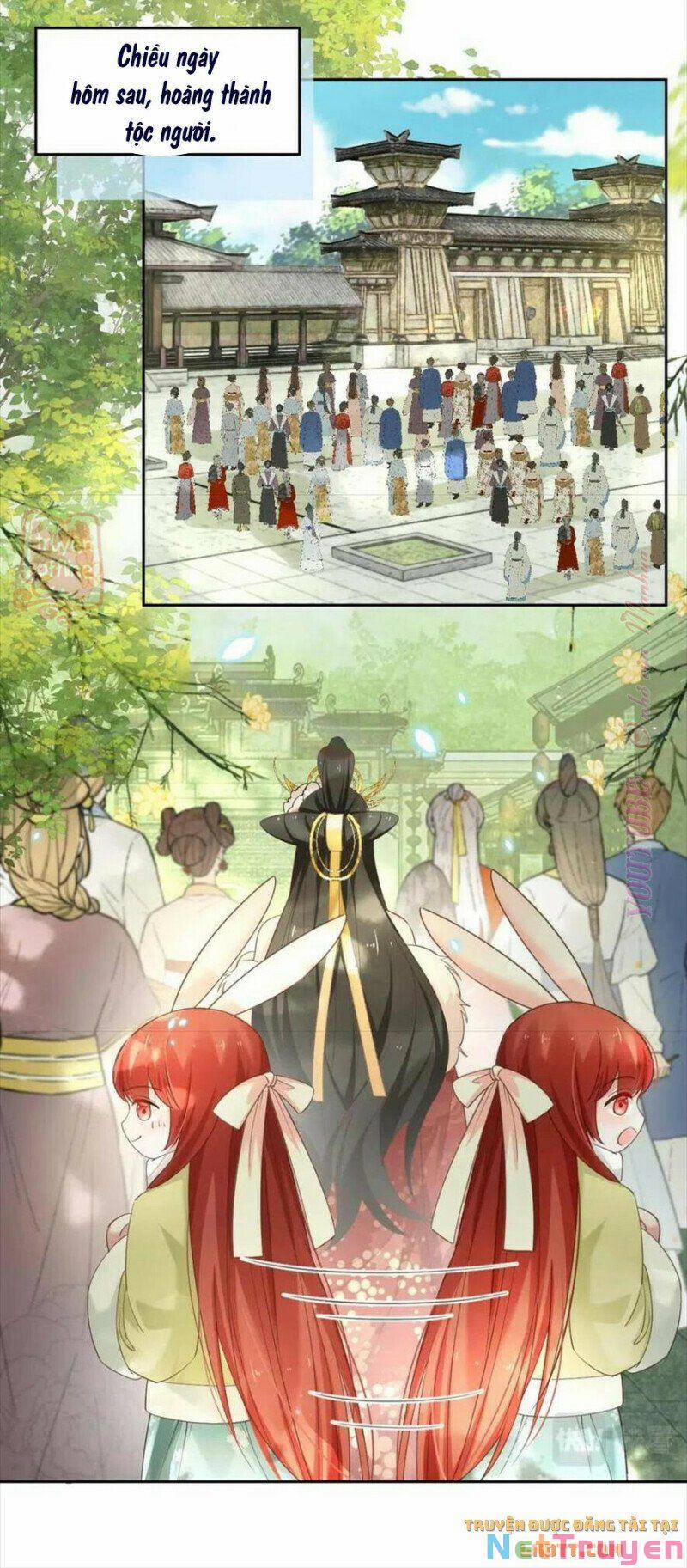 Nuôi Thỏ? Nam Chính Hắc Hóa Rồi! 57 trang 11