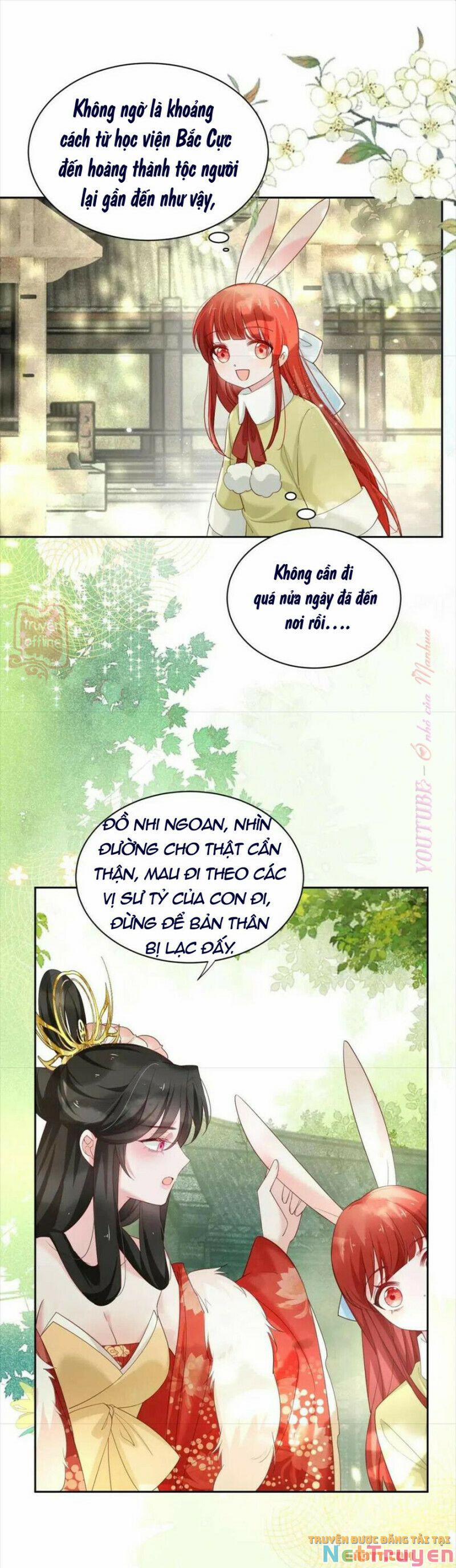 Nuôi Thỏ? Nam Chính Hắc Hóa Rồi! 57 trang 12