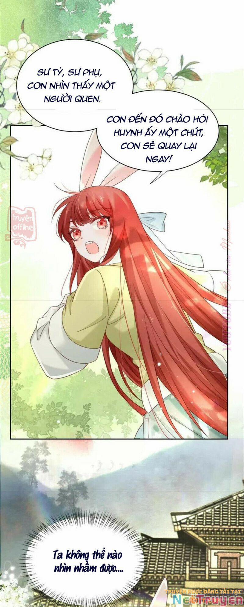 Nuôi Thỏ? Nam Chính Hắc Hóa Rồi! 57 trang 15