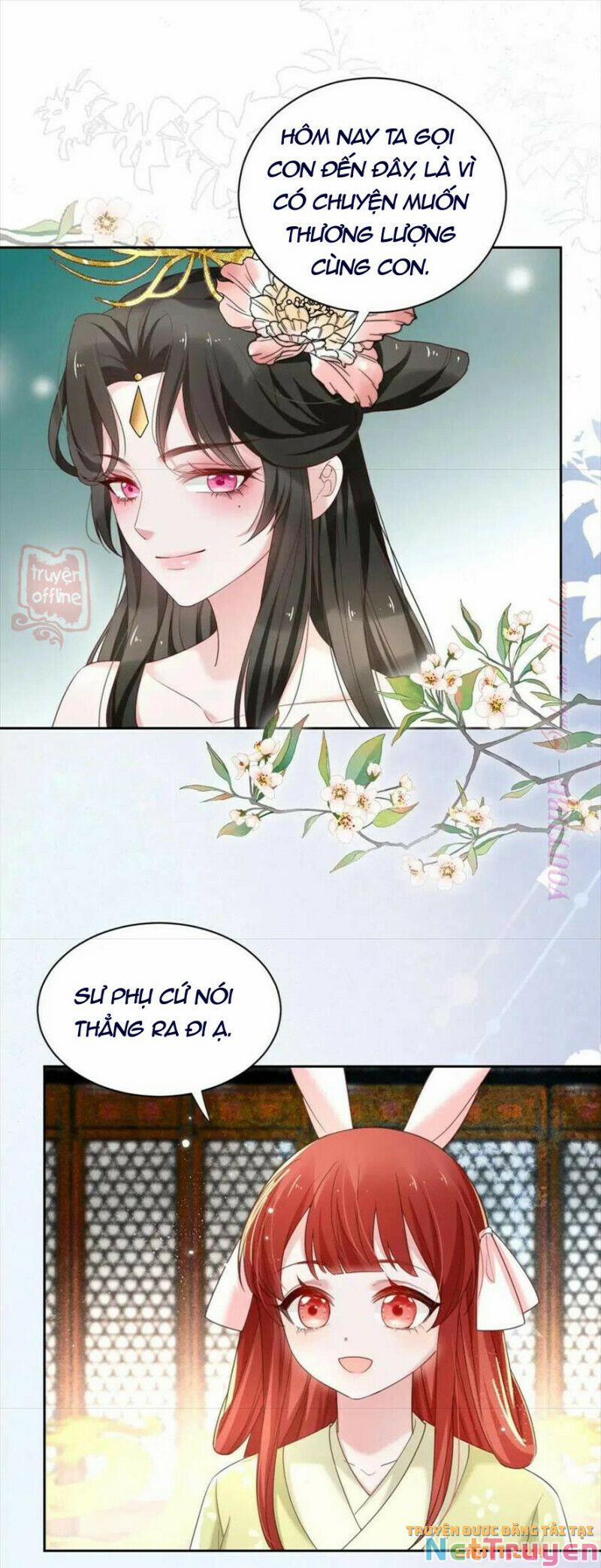 Nuôi Thỏ? Nam Chính Hắc Hóa Rồi! 57 trang 5