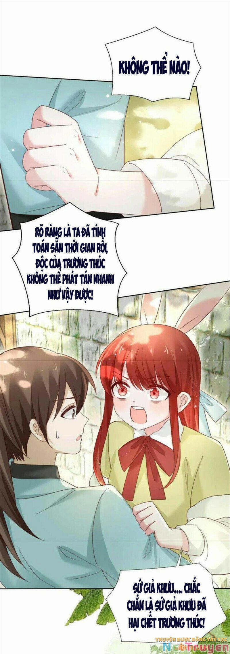 Nuôi Thỏ? Nam Chính Hắc Hóa Rồi! 58 trang 10