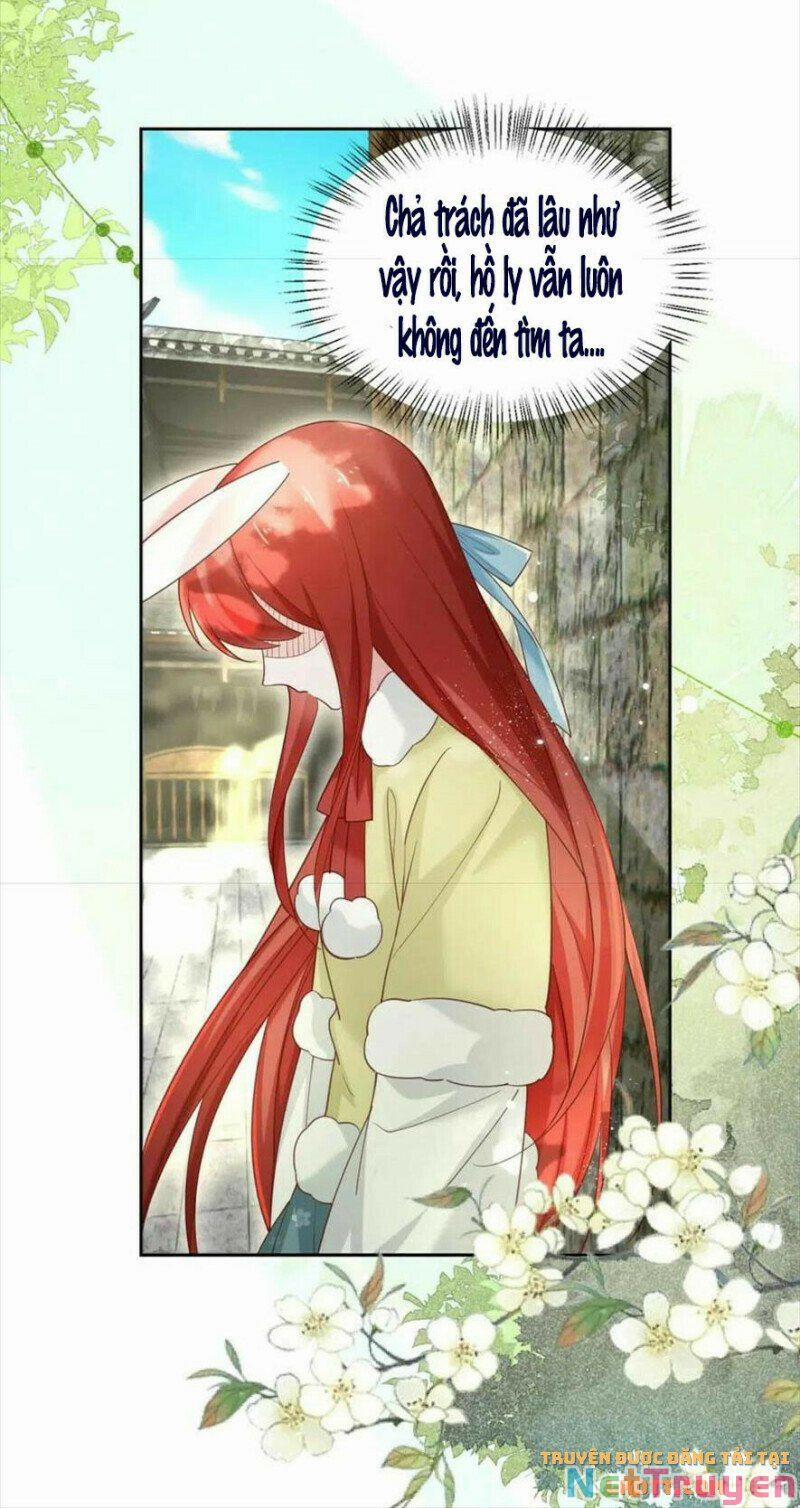 Nuôi Thỏ? Nam Chính Hắc Hóa Rồi! 58 trang 15