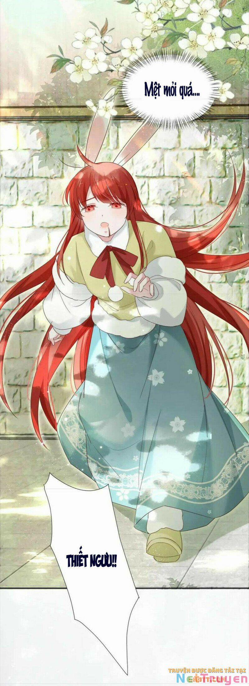 Nuôi Thỏ? Nam Chính Hắc Hóa Rồi! 58 trang 21