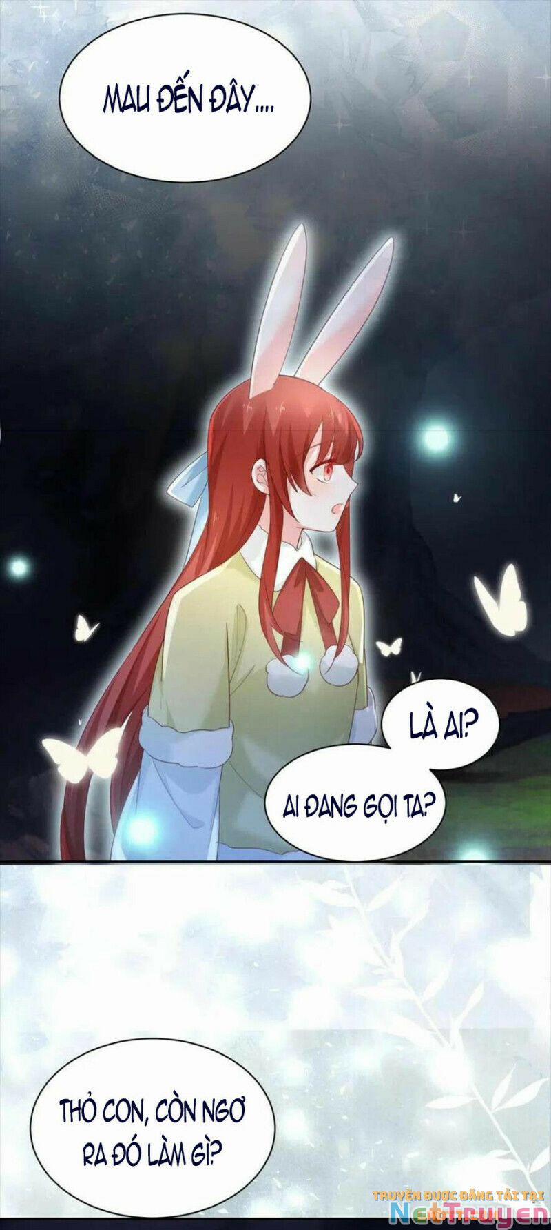 Nuôi Thỏ? Nam Chính Hắc Hóa Rồi! 58 trang 24