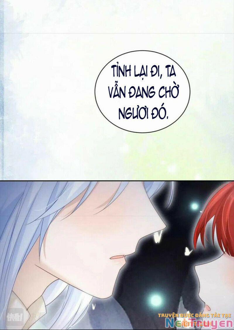 Nuôi Thỏ? Nam Chính Hắc Hóa Rồi! 58 trang 29