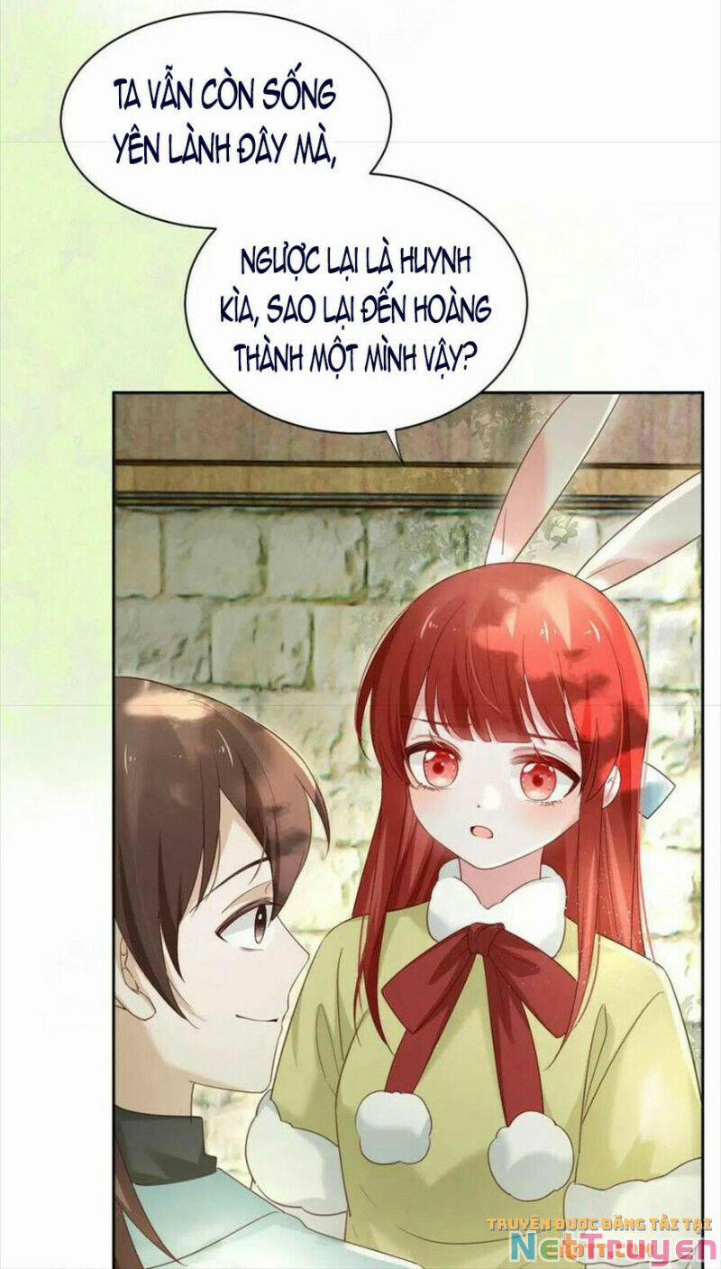 Nuôi Thỏ? Nam Chính Hắc Hóa Rồi! 58 trang 4