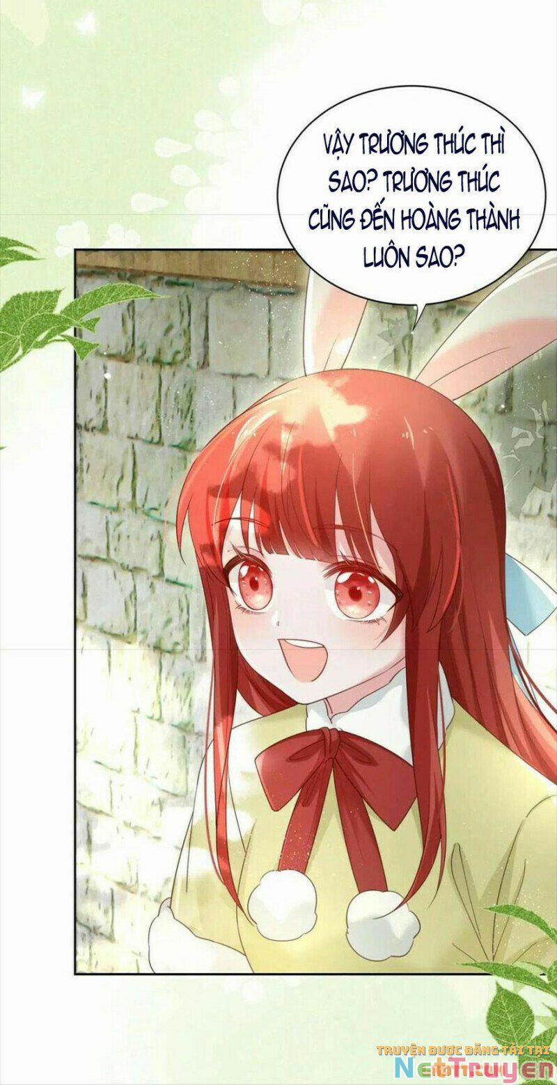 Nuôi Thỏ? Nam Chính Hắc Hóa Rồi! 58 trang 6