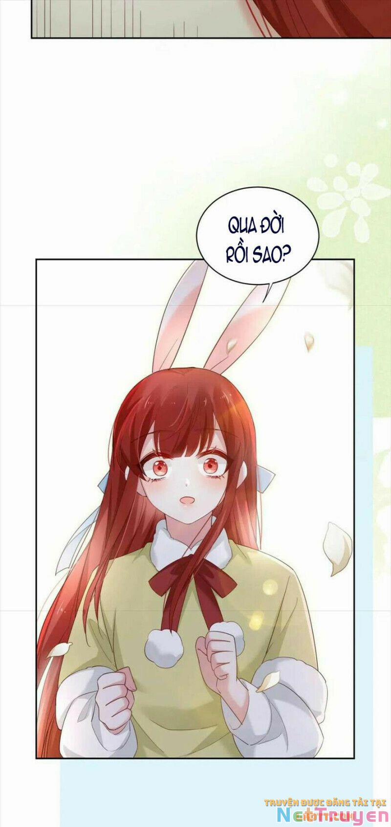 Nuôi Thỏ? Nam Chính Hắc Hóa Rồi! 58 trang 8