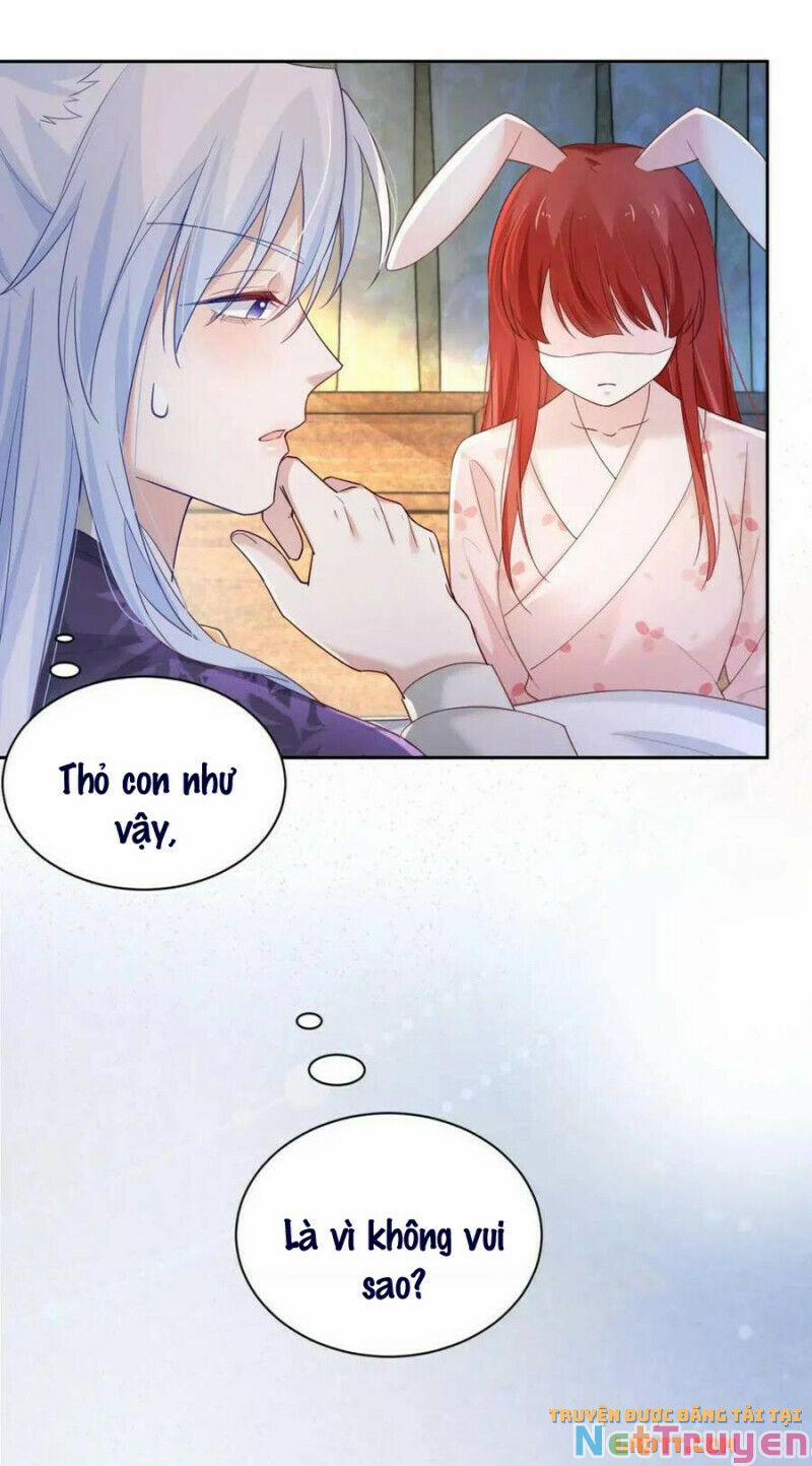 Nuôi Thỏ? Nam Chính Hắc Hóa Rồi! 59 trang 10