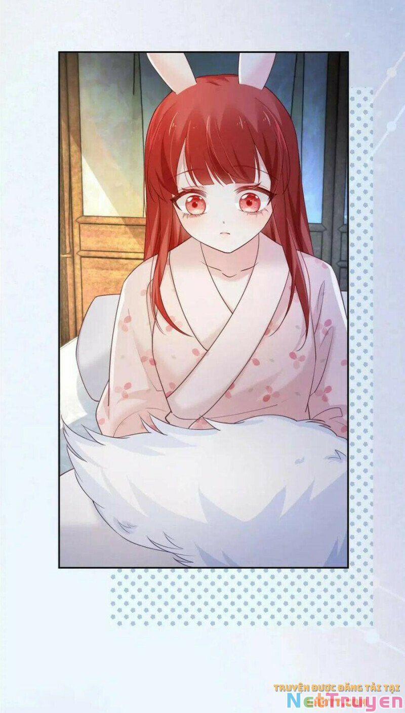 Nuôi Thỏ? Nam Chính Hắc Hóa Rồi! 59 trang 11