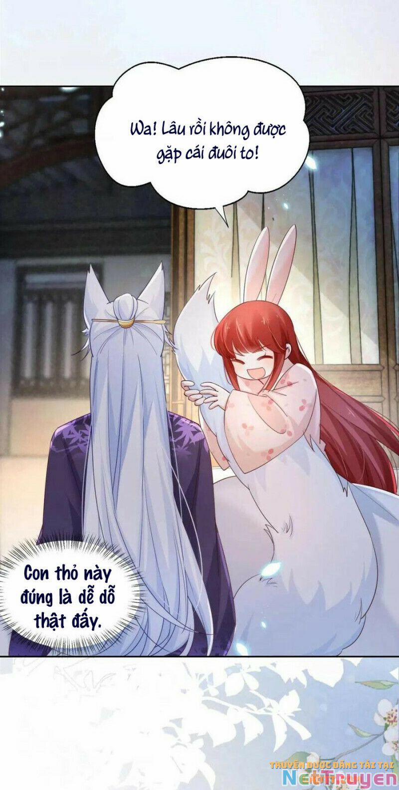 Nuôi Thỏ? Nam Chính Hắc Hóa Rồi! 59 trang 12