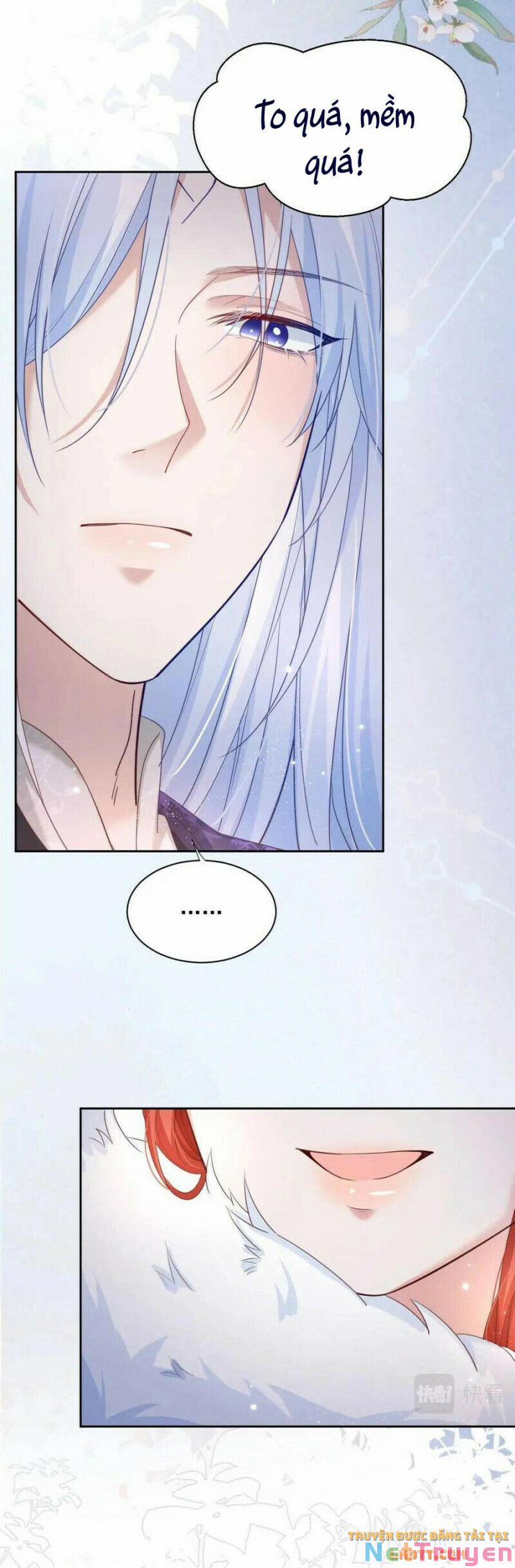 Nuôi Thỏ? Nam Chính Hắc Hóa Rồi! 59 trang 13