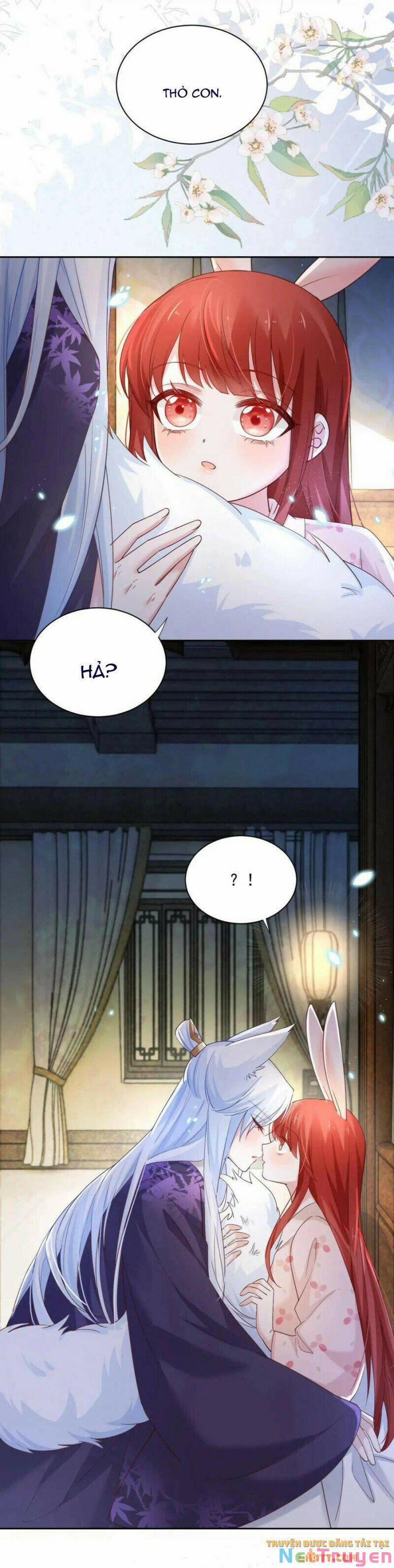 Nuôi Thỏ? Nam Chính Hắc Hóa Rồi! 59 trang 14